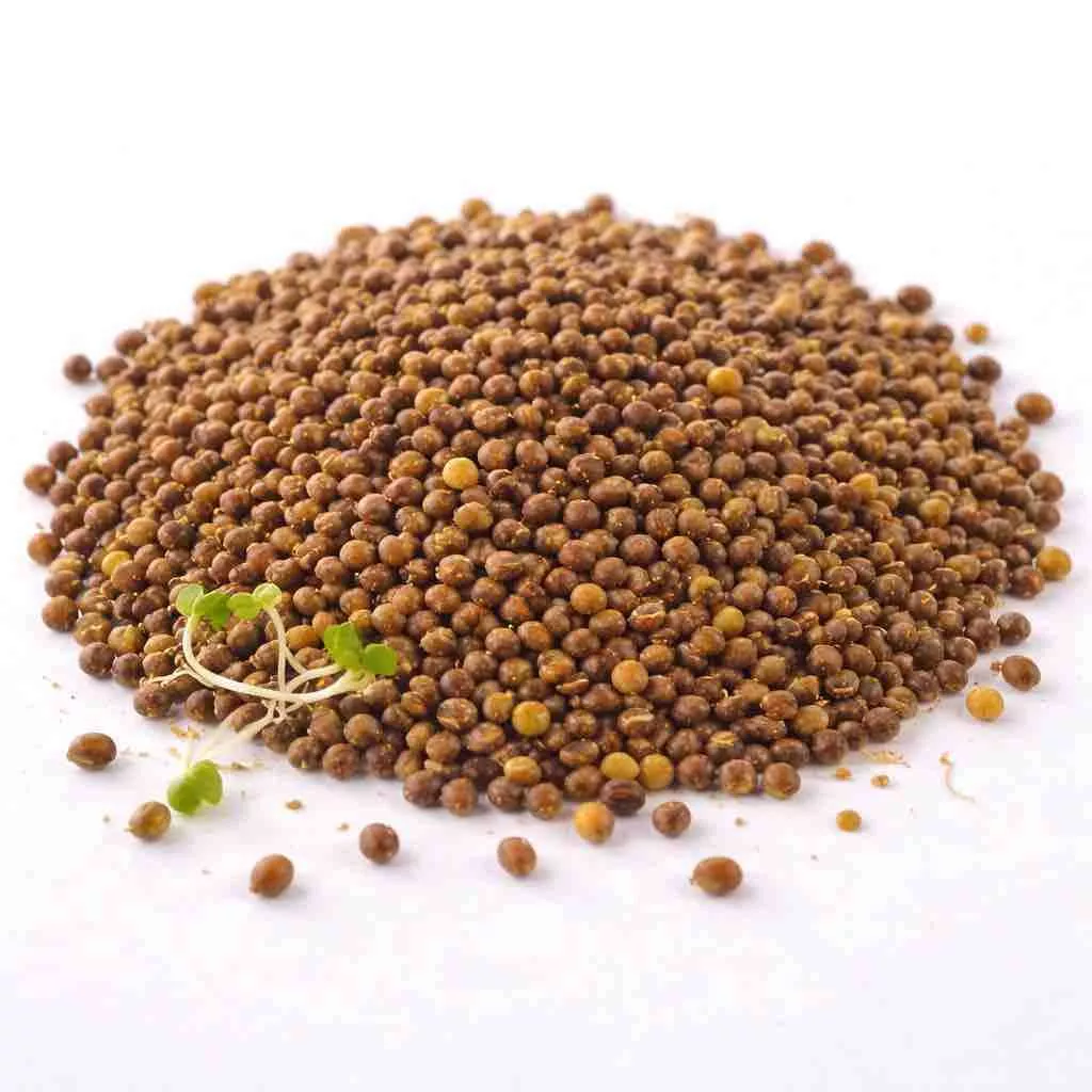 Qué necesitan los germinados para crecer