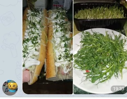 Resultado de estudiante